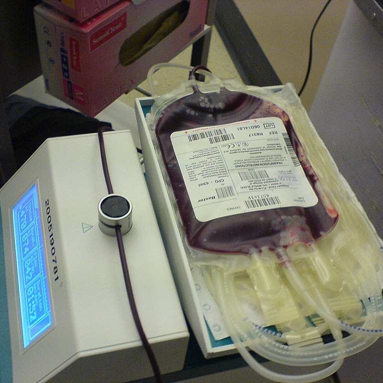gay blood ban, blood donation image via Waldszenen