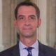 Tom Cotton, The 1619 Project