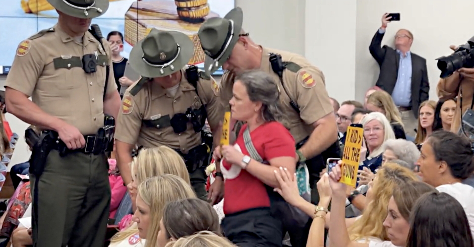 ‘Not What Democracy Looks Like’: TN GOP Lawmakers Order Police to Remove Silent Protestor From Pro-Gun Hearing (thenewcivilrightsmovement.com)